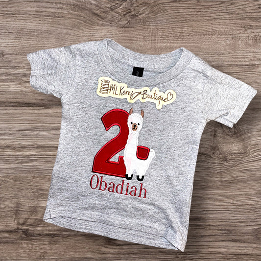Custom Kids Birthday Embroidery Shirt